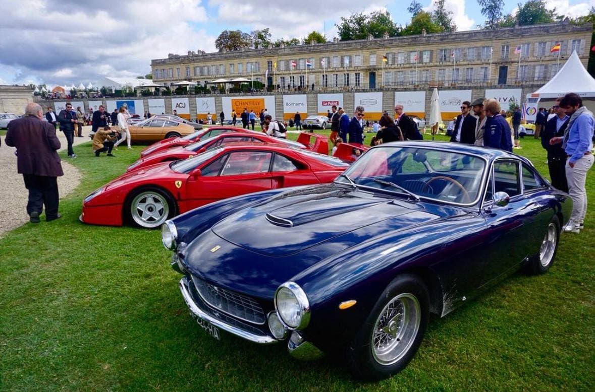 Collector cars displayed on the lawn at a European concours